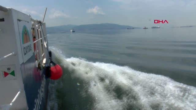 izmit korfezi nden her gun 2 5 ton musilaj 3 14184302 o