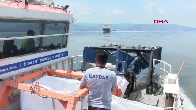izmit korfezi nden her gun 2 5 ton musilaj 4 14184302 o