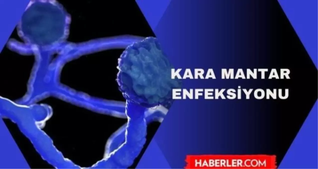 kara mantar hastaligi bulasici mi kara mantar enfeksiyonu nedir