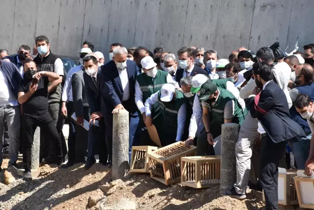 Son dakika: AFYONKARAHİSAR - Bakan Pakdemirli, yapımı tamamlanan Çay Barajı'nda incelemelerde bulundu Son dakika: AFYONKARAHİSAR - Bakan Pakdemirli, yapımı tamamlanan Çay Barajı'nda incelemelerde bulundu