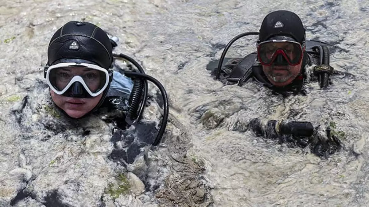 Marmara'daki müsilaj temizleniyor! 7 ilde eş zamanlı çalışma başlatıldı, 1000 personel görevde