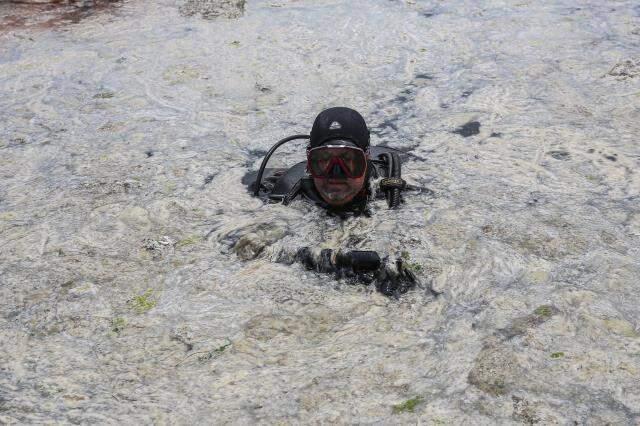 7 ilde eş zamanlı olarak başlatıldı! Marmara'daki müsilaj temizleniyor