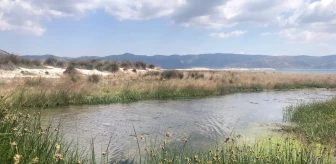 Çevre ve Şehircilik Müdürü Alacatlı'dan Salda Gölü'ne kanalizasyon aktığı iddialarına ilişkin açıklama