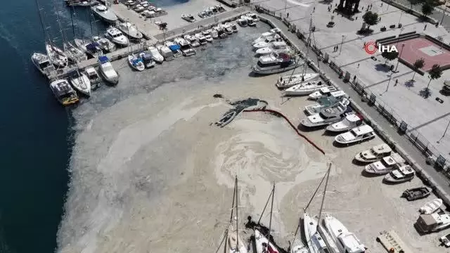 Çanakkale Boğazı'nda müsilaj temizliği seferberliği Çanakkale Boğazı'nda müsilaj temizliği seferberliği