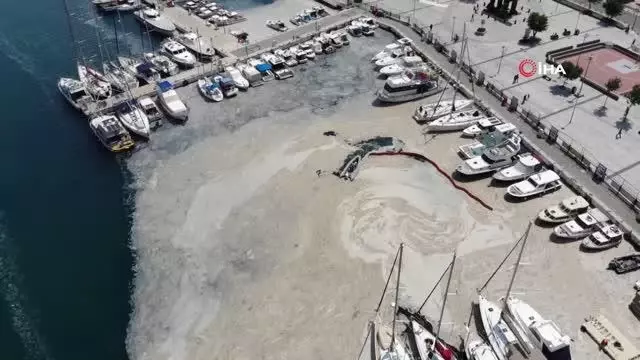 Çanakkale Boğazı'nda müsilaj temizliği seferberliği