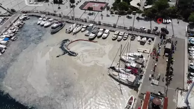 Çanakkale Boğazı'nda müsilaj temizliği seferberliği