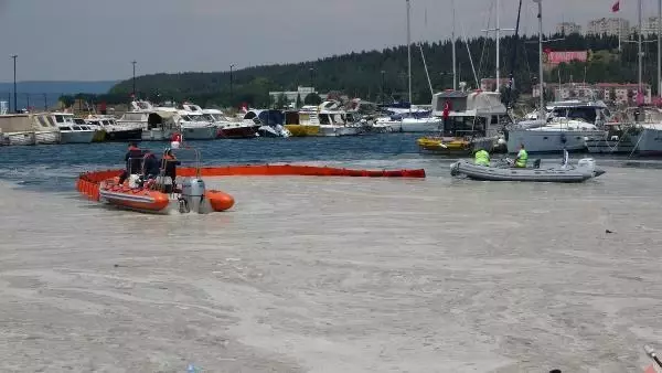 ÇANAKKALE'DE İLK GÜN DENİZDEN 17 TON MÜSİLAJ ÇEKİLDİ