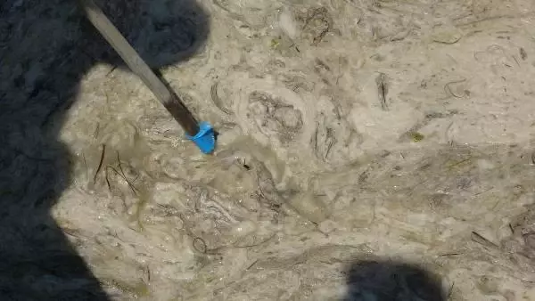 ÇANAKKALE'DE İLK GÜN DENİZDEN 17 TON MÜSİLAJ ÇEKİLDİ