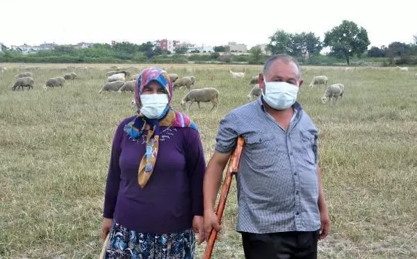 Çoban çifte sürünün başında aşı yapıldı