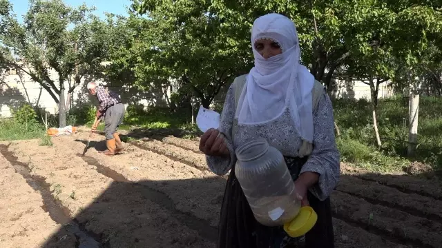 Domatese adanan bir ömür
