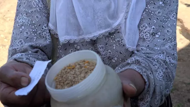 Domatese adanan bir ömür
