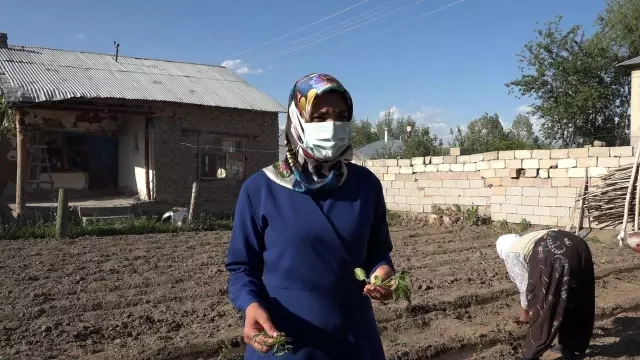 Domatese adanan bir ömür
