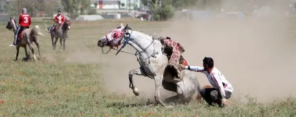 Erzurum'da cirit sporcuları yeniden sahalara döndü Erzurum'da cirit sporcuları yeniden sahalara döndü