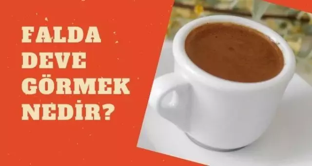 Falda deve görmek ne demektir? Falda deve görmek nedir? Haberler