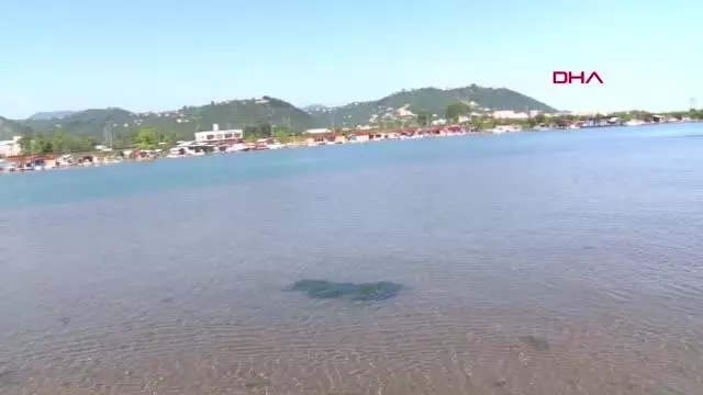 GİRESUN DENİZDE KAYBOLAN MERT'İN CANSIZ BEDENİNE ULAŞILDI