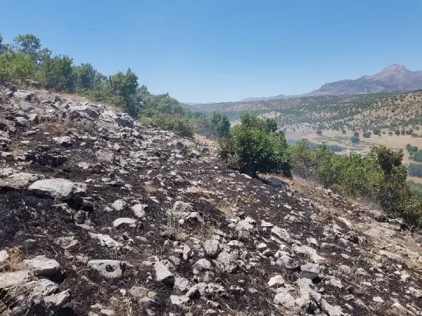 Son dakika haberi | Görese Dağı'ndaki orman yangını 5'inci günde de sürüyor