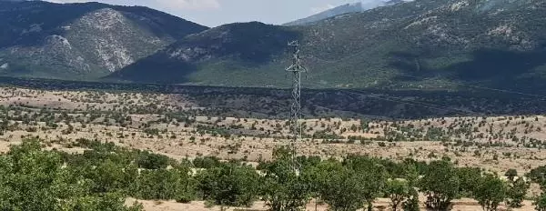 Görese Dağı'ndaki orman yangını 5'inci günde de sürüyor (2)
