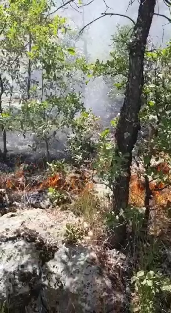 Son dakika haberi | Görese Dağı'ndaki orman yangını 5'inci günde de sürüyor