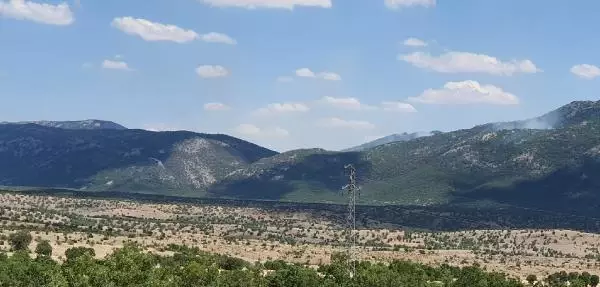 Görese Dağı'ndaki orman yangını 5'inci günde de sürüyor (2)