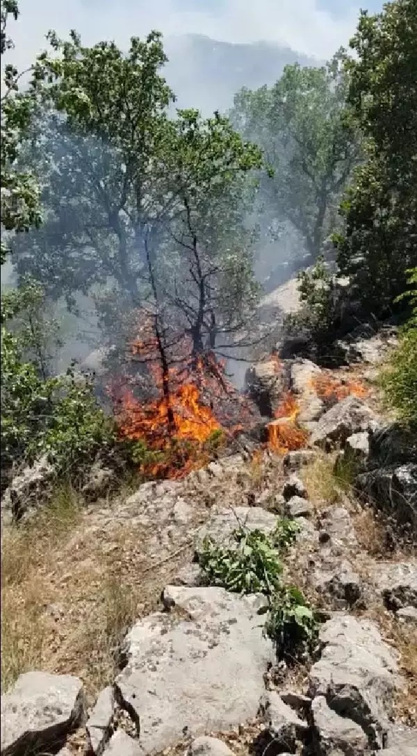 Son dakika haberi | Görese Dağı'ndaki orman yangını 5'inci günde de sürüyor