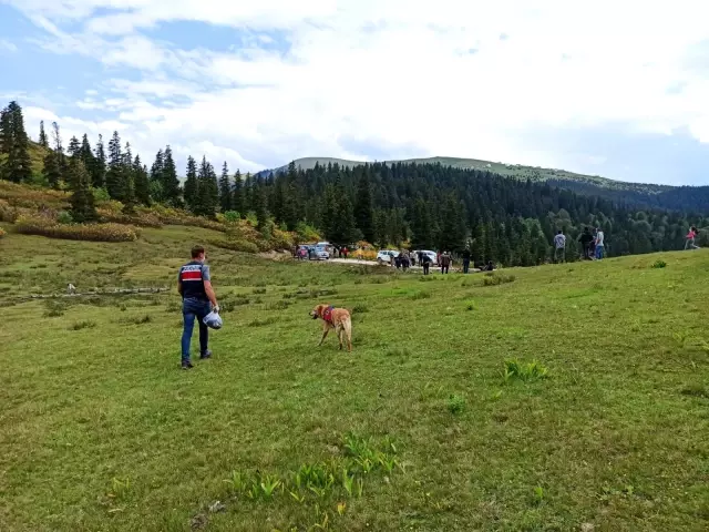 Gümüşhane'de kaybolan şahıs aranıyor
