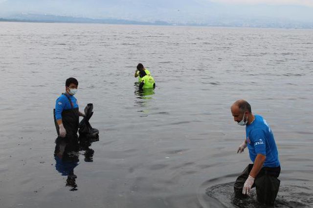 izmit korfezi sahilinde temizlik 2 14186592 o