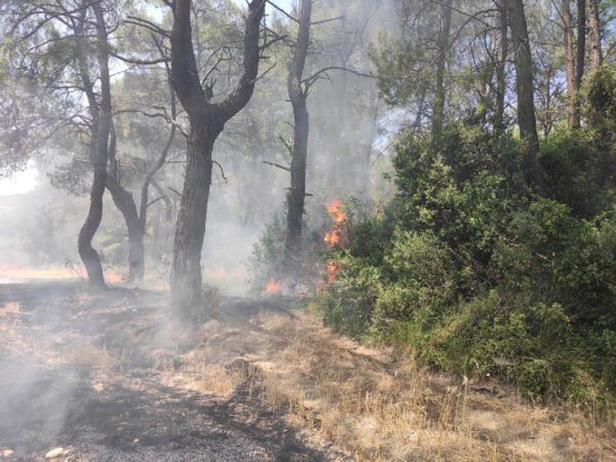 Karatepe Milli Parkı'nda orman yangını (1)