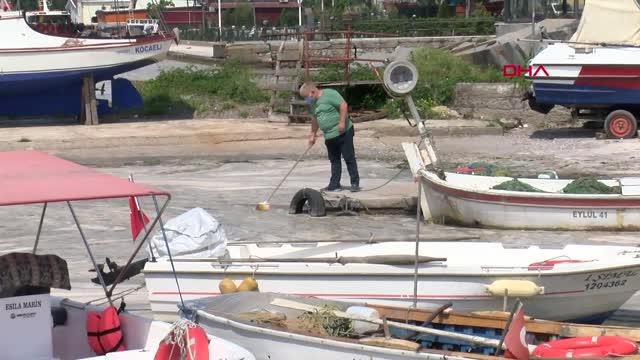 kocaeli korfezi kaplayan musilaj balik avinin 2 14186191 o