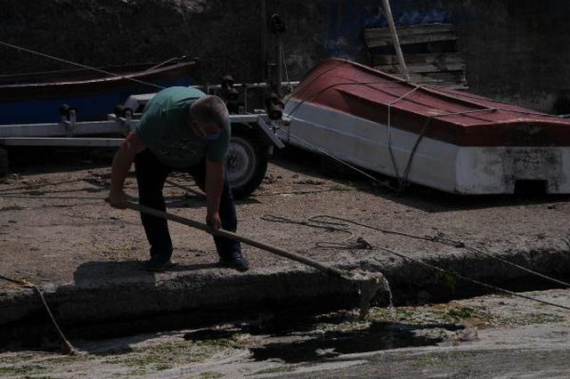 korfezi kaplayan musilaj balik avinin engeli 7 14186191 o
