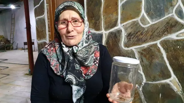 Tehlikeli 'Çöl Örümceği' Aydın'da ortaya çıktı