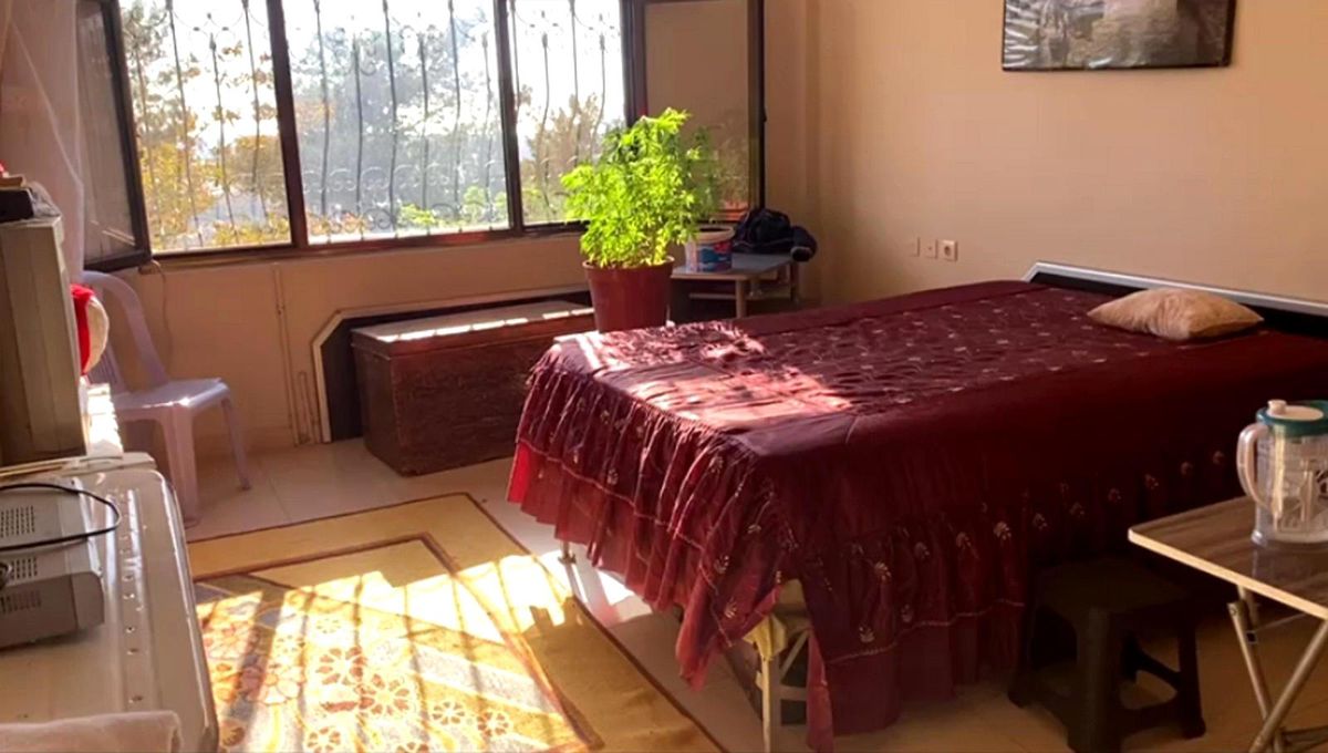 Yatak odasındaki saksılarda kenevir yetiştirmiş Haberler