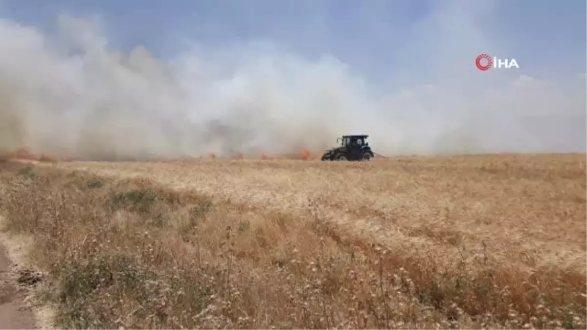 Araban'da 120 dönüm buğday tarlası yandı