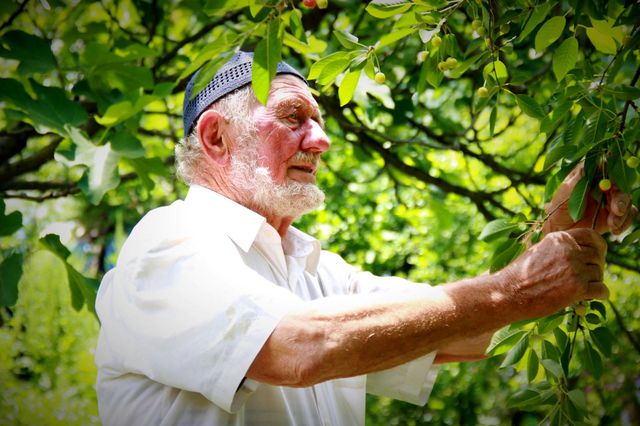 asirlik cinarin huzunlendiren hikayesi 12 14188328 o