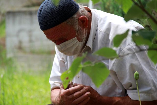 asirlik cinarin huzunlendiren hikayesi 14 14188328 o