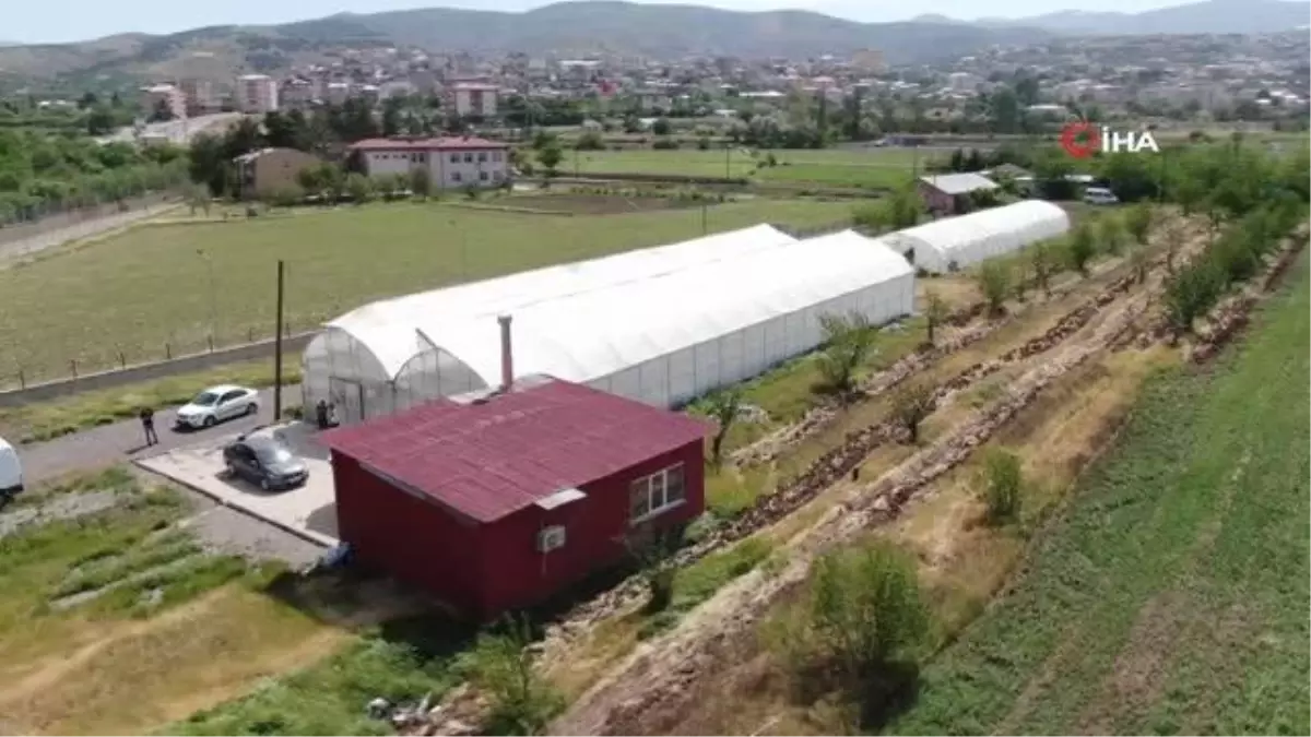 Bu sera hem öğretiyor, hem de ata tohumu çoğaltıyor