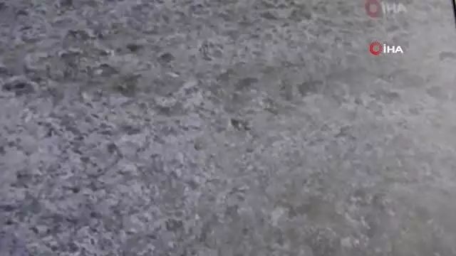 Deniz salyası oluşturan planktonlar için kritik uyarı: '2100 yılında oksijen sıkıntısı yaşayabiliriz' Deniz salyası oluşturan planktonlar için kritik uyarı: '2100 yılında oksijen sıkıntısı yaşayabiliriz'