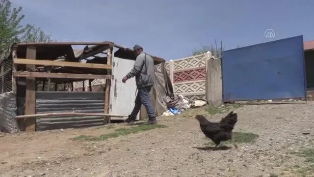 Devlet desteğiyle besicilik yapan eski hükümlü geleceğe umutla bakıyor Devlet desteğiyle besicilik yapan eski hükümlü geleceğe umutla bakıyor