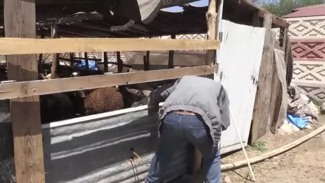 Devlet desteğiyle besicilik yapan eski hükümlü geleceğe umutla bakıyor