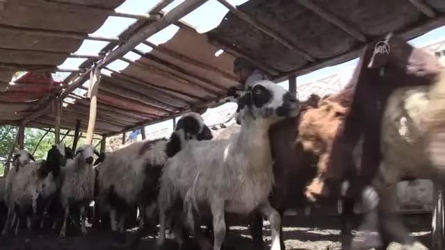 Devlet desteğiyle besicilik yapan eski hükümlü geleceğe umutla bakıyor