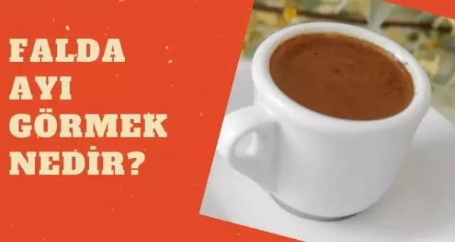 Falda ayı görmek nedir? Falda ayı çıkması ne anlama gelir? Haberler