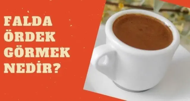 Falda ördek görmek nedir? Falda ördek çıkması ne anlama gelir? Haberler