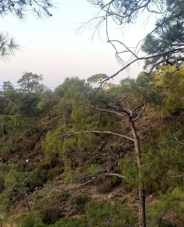 Fethiye'de 112 düzensiz göçmen yakalandı