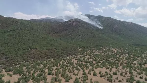 GÖRESE DAĞI'NDA 5 GÜN SÜREN ORMAN YANGININDA 30 HEKTAR ALAN YANDI