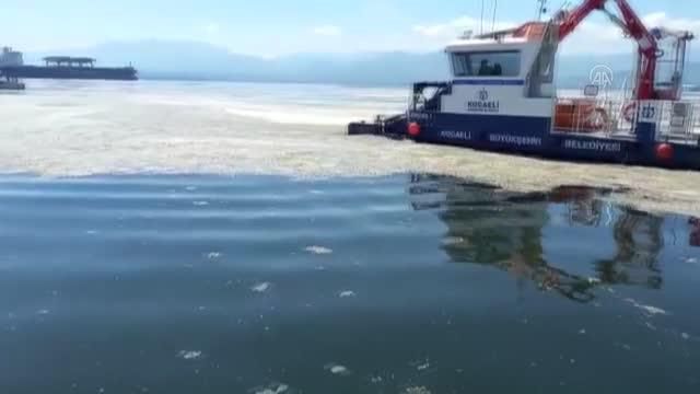 izmit korfezi nde musilaj temizleme calismala 2 14188827 o