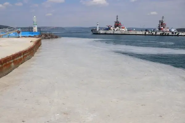 Prof. Dr. Ayaz vatandaşın merak ettiği soruyu yanıtladı: Müsilaj nedeniyle balık tüketmek zararlı değil Prof. Dr. Ayaz vatandaşın merak ettiği soruyu yanıtladı: Müsilaj nedeniyle balık tüketmek zararlı değil