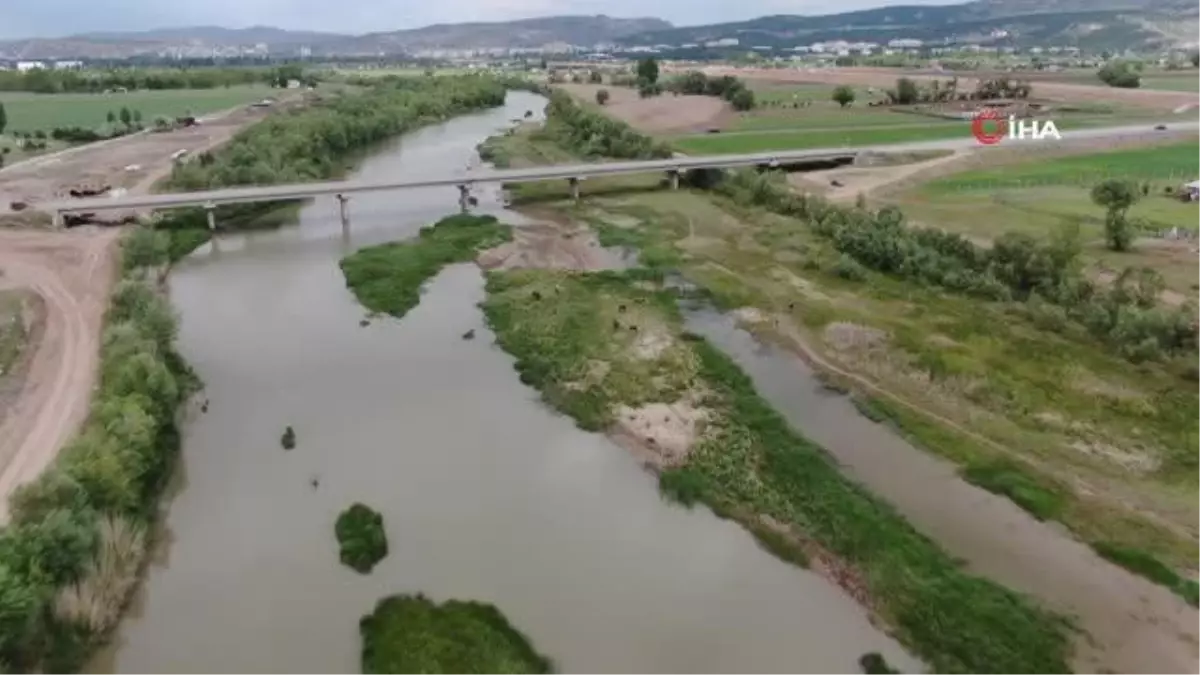 Sular çekildi, bölge hayvanlara otlak oldu