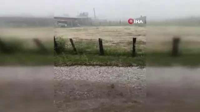 Yenice'de dolu tarlara zarar verdi Yenice'de dolu tarlara zarar verdi