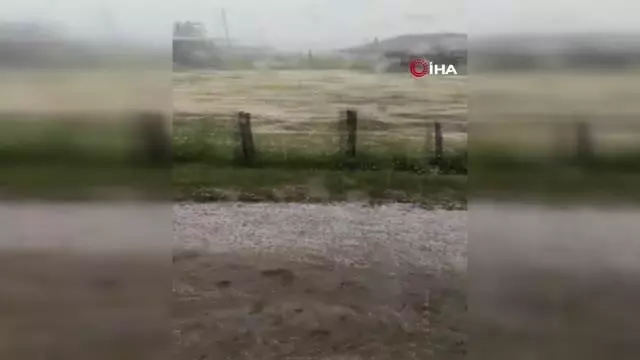 Yenice'de dolu tarlara zarar verdi
