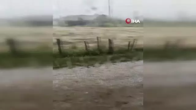 Yenice'de dolu tarlara zarar verdi