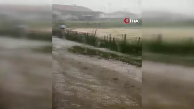 Yenice'de dolu tarlara zarar verdi
